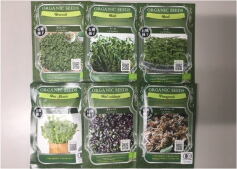 スプラウト種子！