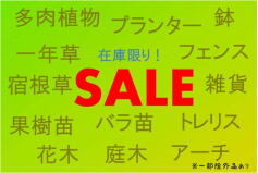 SALE開催中！