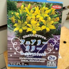 球根がいっぱい3