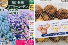 揃い咲き！ラブリーガーデン