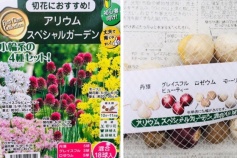 アリウム スペシャルガーデン