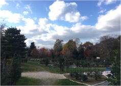 2019年最終営業日