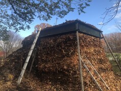 腐葉土づくり①