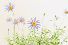 スタッフＵより