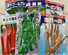 野菜の種入荷！