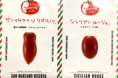 調理用トマト