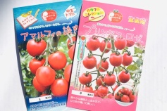 マウロの地中海トマトシリーズ2