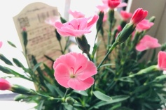 ‘ミーテ ピーチラテ’