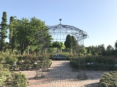 雪印種苗バラ見本園