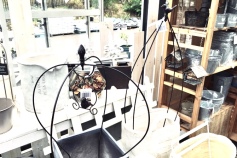 バードケージ型トピアリー