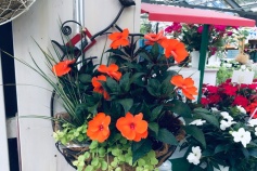 小鳥ハンギングプランター（マット付き）