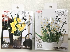 黄房すいせん・日本すいせん