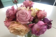 バラのある空間＊