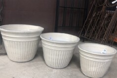 軽い鉢のご紹介と「発見!タカトシランド」本日夜です♡