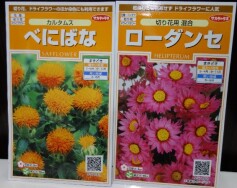 タネまきからのお花