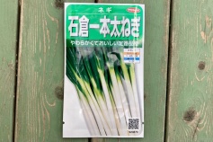 石倉一本ネギ