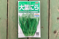 大葉ニラ