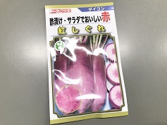 ダイコン‘紅しぐれ’
