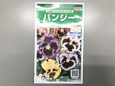 パンジー‘シャロンジャイアントミックス’