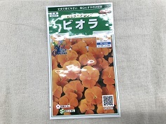 ビオラ‘ピエナオレンジ’