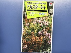 アガスターシャ