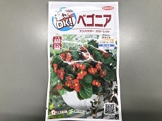 ベゴニア‘アンバサダースカーレット’