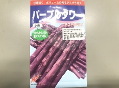 パープルタワー