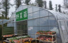 野菜苗売場オープン！