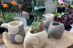 アニマルポット