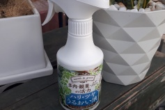多肉・観葉・エアプランツの活力　ハリ・ツヤ・うるおい液