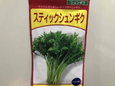 スティックシュンギク
