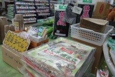 タネまき用品揃っています♪