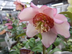 3月の写真