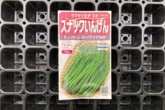 新商品 スナックインゲン種子