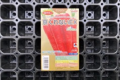 新商品 ニンジン種子