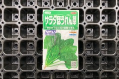 新商品 ホウレンソウ種子