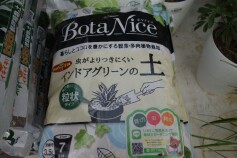 ボタナイスシリーズ