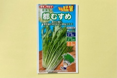 ミズナ種子 都むすめ