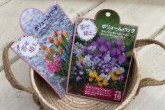 球根 ボリュームパック