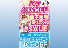 苗木売場売り尽くしセール！