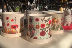 ラーゴムポット