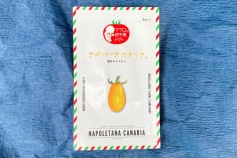 ナポリターナカナリア（種子）