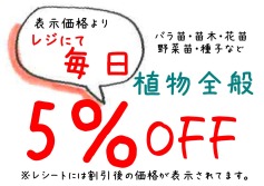植物全般5％OFF！！