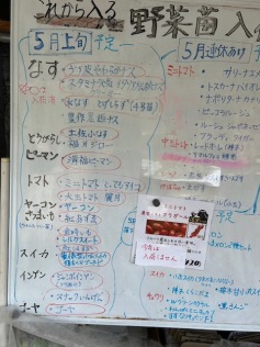 5月上旬の野菜苗入荷予定 5/3