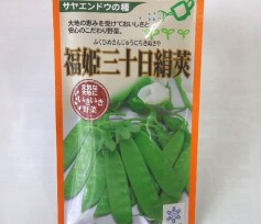 野菜種子＜サヤエンドウ＞