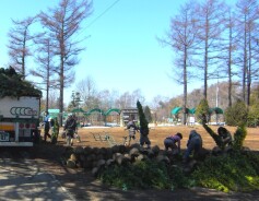 苗木売場準備中！