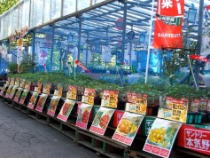 サントリー本気野菜特設コーナー